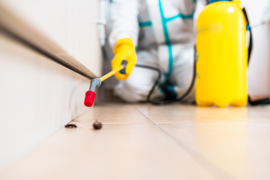 Red Oak Cockroach Experts