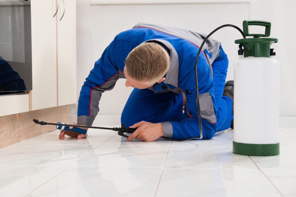 Red Oak Ant Control Xperts