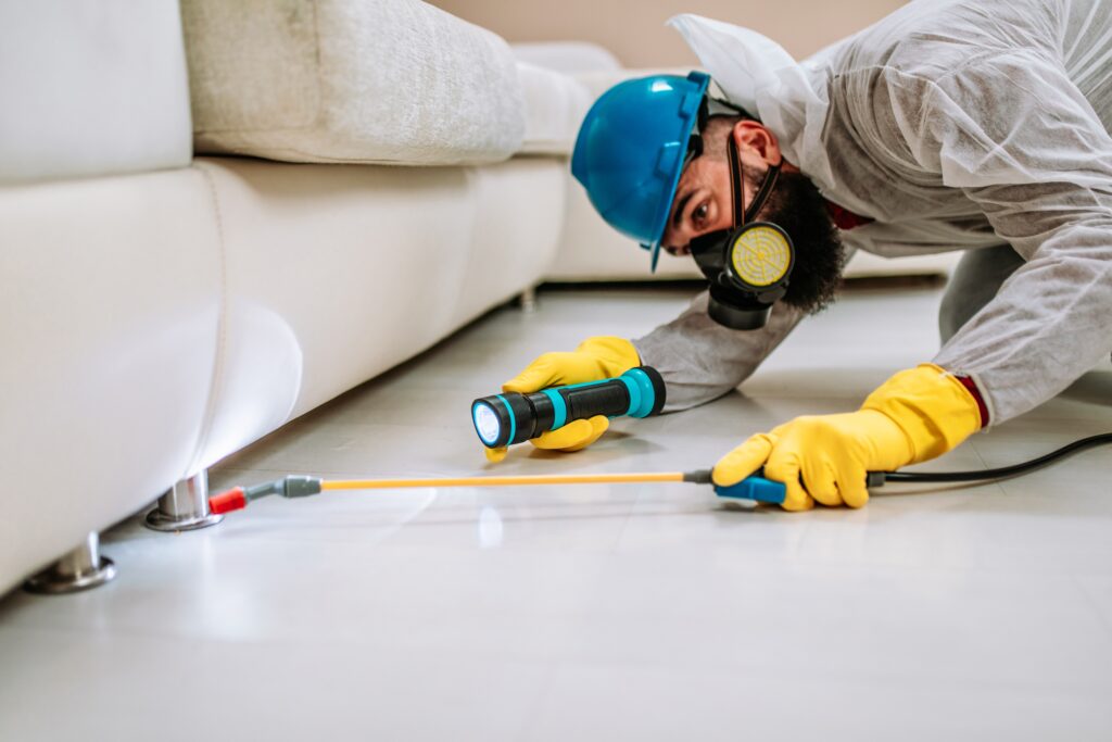 Red Oak Termite Control